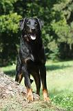 BEAUCERON 075